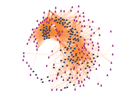 A visualisation of participation after nine days.