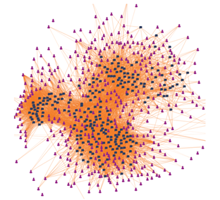 A visualisation of participation after thirteen days.