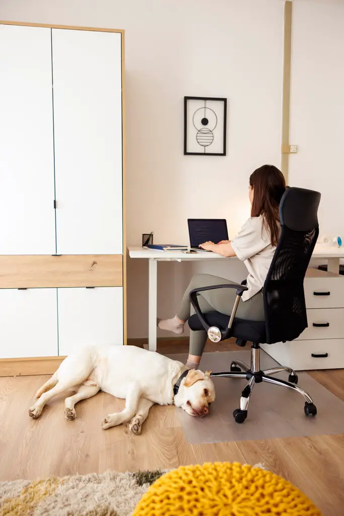 Woman working remotely with dog