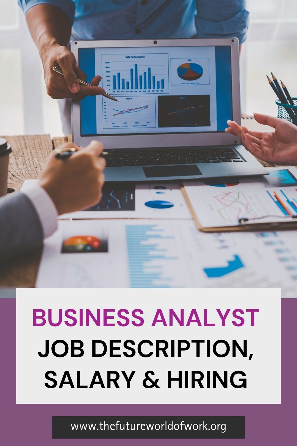 Business Analyst