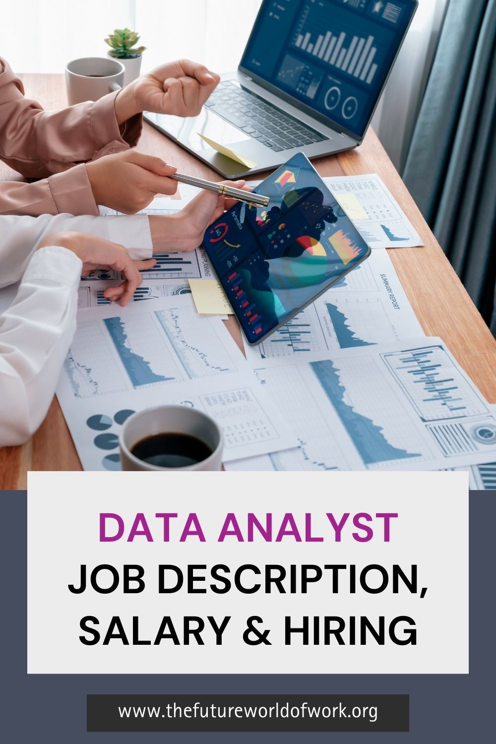 Data Analyst